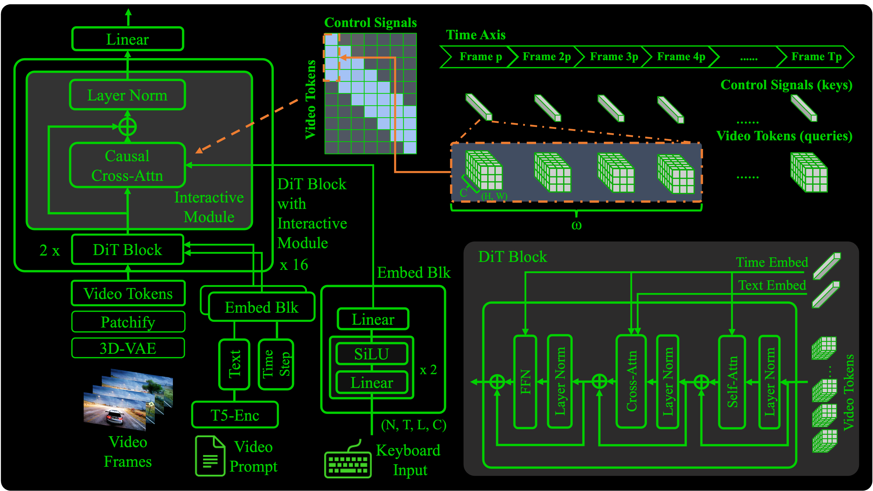 Interactive Module